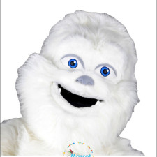 Eco-Friendly Frog Mascot Costumes: Sustainable Options for Events 