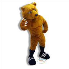 How Climate Affects School Mascot Costume Choices 