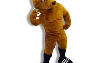 How Climate Affects School Mascot Costume Choices