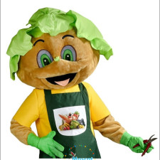 Aerodynamic Appeal: How to Choose the Best Hawk Mascot Costume 