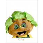 Gardener's Mascot Costume head of salad